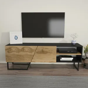 Denasse 60" Wide Modern TV Stand and Media Console Decorotika