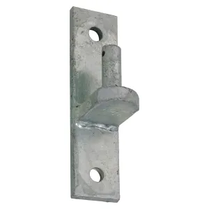 Hooks on Oblong Plates 3/4" Pin