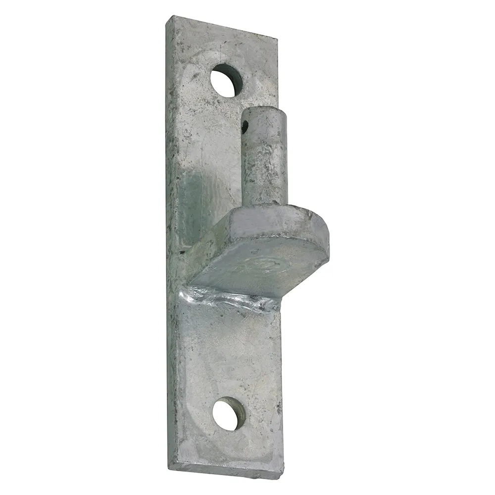 Hooks on Oblong Plates 3/4" Pin